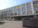 北栄中学校(中学校/中等教育学校)まで1710m ロイヤルコ－ト３３
