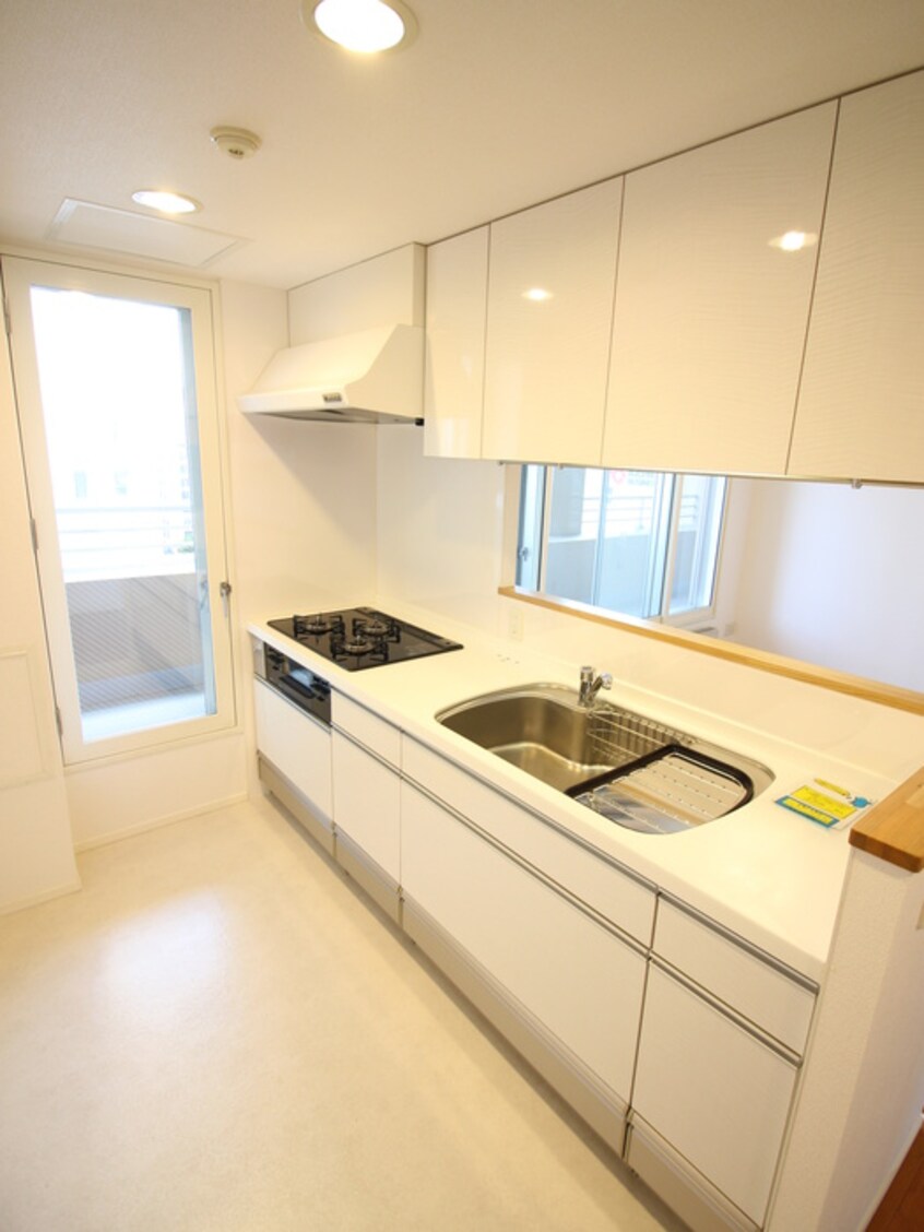 キッチン ﾊﾟｰｸﾎｰﾑｽﾞ大通公園南(902)