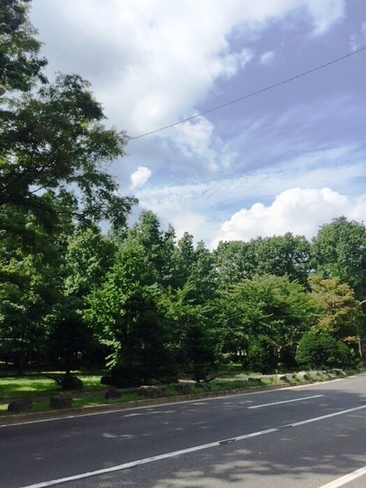 中島公園(公園)まで750m オリンピア南9条マンション