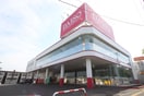 ＤＡＩＳＯ(100均)まで182m ＫＡＺＵ本通