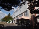 札幌市立山鼻小学校(小学校)まで350m セントラルパ－クＢ
