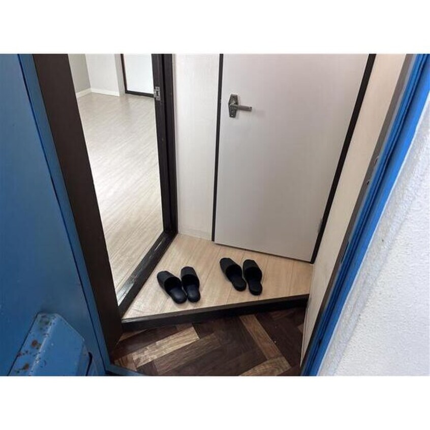 玄関 ハイムプロティア