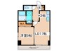 リバ－ライト菊水 1LDKの間取り