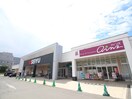SEIYU(スーパー)まで320m プランドール福住