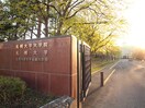 札幌大学(大学/短大/専門学校)まで350m フォ－ブル西岡
