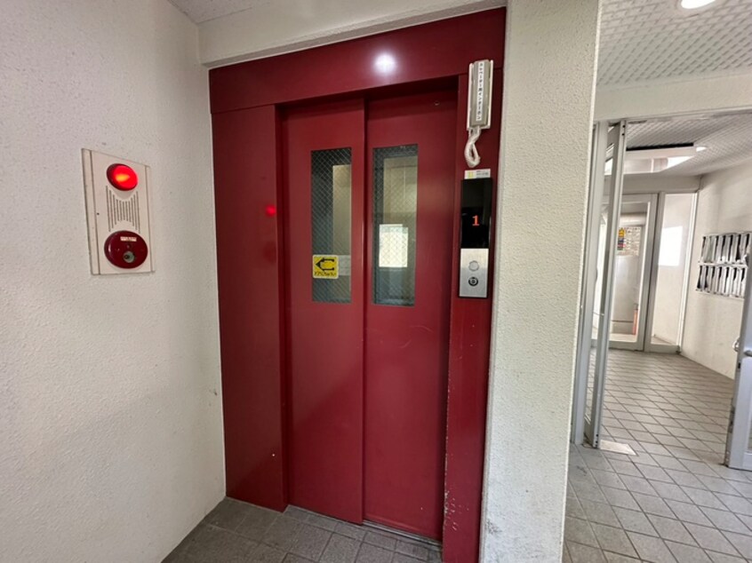 その他 パピリオ