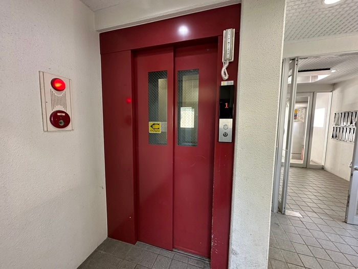 その他 パピリオ