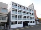 バニラの外観