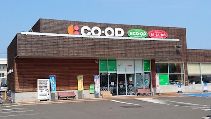 コープさっぽろとんでん店(スーパー)まで1000m ピカソ