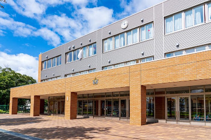 屯田小学校(小学校)まで280m ピカソ