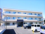 セレスト連理
