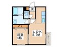 仮）Kafuu Residence N35の間取図