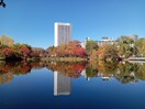 中島公園(公園)まで98m 中島公園マンション