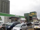 スポーツデポ(電気量販店/ホームセンター)まで171m 上野マンション