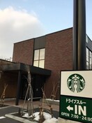スターバックス(カフェ)まで650m ルミエール宮の森２－８