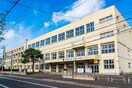 札幌市立北陽小学校(小学校)まで700m ﾌﾗﾝｾﾚｼﾞﾃﾞﾝｼｱｸﾞﾚｰｽ南麻生