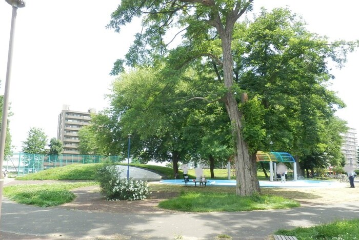 東札幌公園(公園)まで1190m ハルトラーテ東札幌