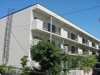 ﾌｫﾚｽﾄ･ｺｲﾌﾞ