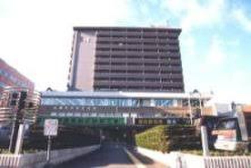 札幌市中央区役所(役所)まで450m ステラハウス