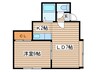メープルシティ 1LDKの間取り