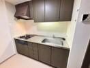 キッチン 東急ドエル･アルス円山公園(205)