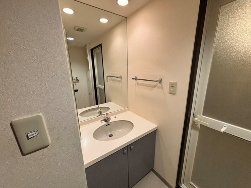 洗面 東急ドエル･アルス円山公園(205)