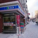 ローソン 札幌円山南１条店(コンビニ)まで600m 東急ドエル･アルス円山公園(205)