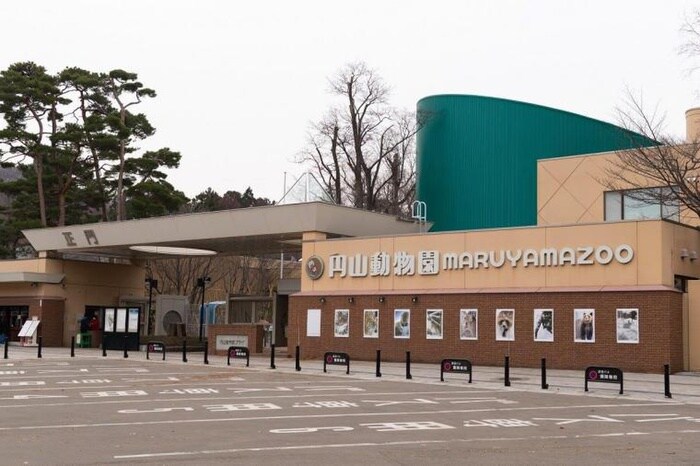 札幌市円山動物園(美術館/博物館)まで1500m 東急ドエル･アルス円山公園(205)