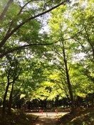 中島公園(公園)まで50m キャトレ－ル中島公園