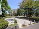 福井中央公園(公園)まで300m 中村ﾏﾝｼｮﾝ