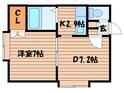 マロン麻生の間取図