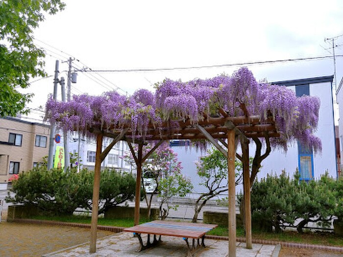 幌西やくも公園(公園)まで450m センタービル913