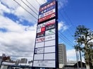 サツドラ(ドラッグストア)まで350m フラッツ幌南