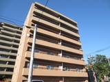 ブルーリーフ桑園