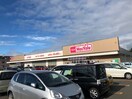 マックスバリュー(スーパー)まで180m ＣＯＭＯＤ・ＣＡＳＡ４１