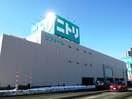 ニトリ(電気量販店/ホームセンター)まで450m エスコ－ト美園中央