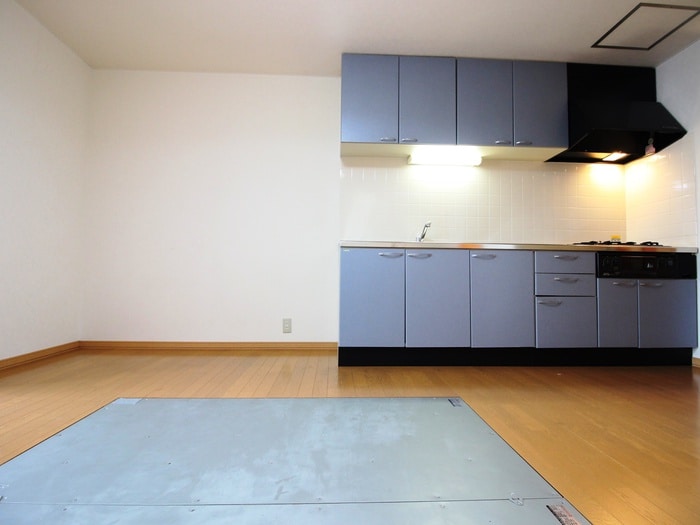 居室 アークコート平岸Ⅲ