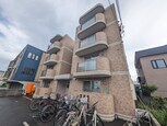 セントポーリア　アイリス