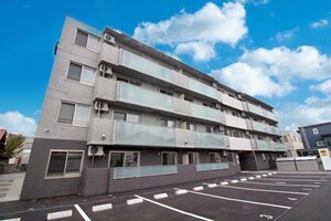 セントポーリアエール