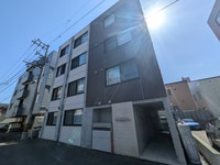 INGRESSO南7条