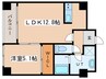カレラ近代美術館前 1LDKの間取り