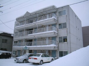 ルミノ－ソ１９