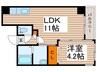 パ－クフロント清華亭 1LDKの間取り