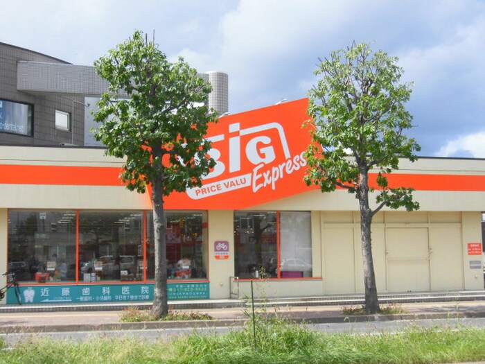 ザ・ビッグエクスプレス平岸店(スーパー)まで500m リリーコート平岸