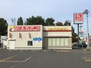 みよしの(その他飲食（ファミレスなど）)まで850m グレイスコ－ト