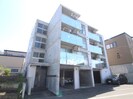 Merlotの外観