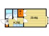 藤井ビル北１０条 1Kの間取り