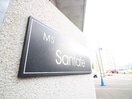 その他 ＭＳ　Ｓａｎｔａｆｅ