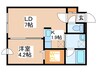グランフォーレＳ 1LDKの間取り