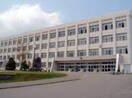 倶知安高校(高等学校/高等専門学校)まで800m ｃｒａｎｅ